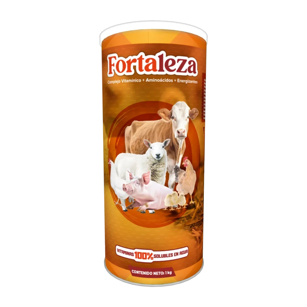 Fortaleza