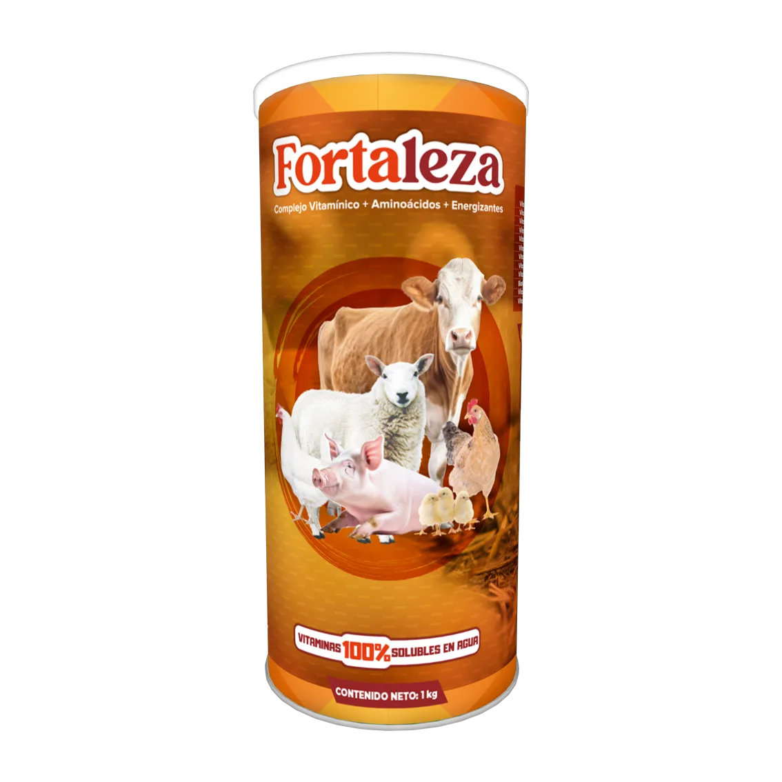 Fortaleza